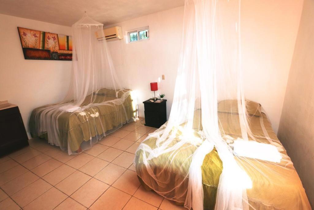 Otoch Beek Calakmul Bed & Breakfast Chicanna Room photo