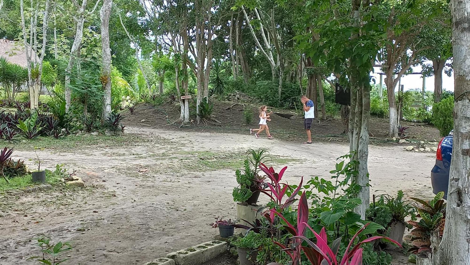 Otoch Beek Calakmul Bed & Breakfast Chicanna Room photo