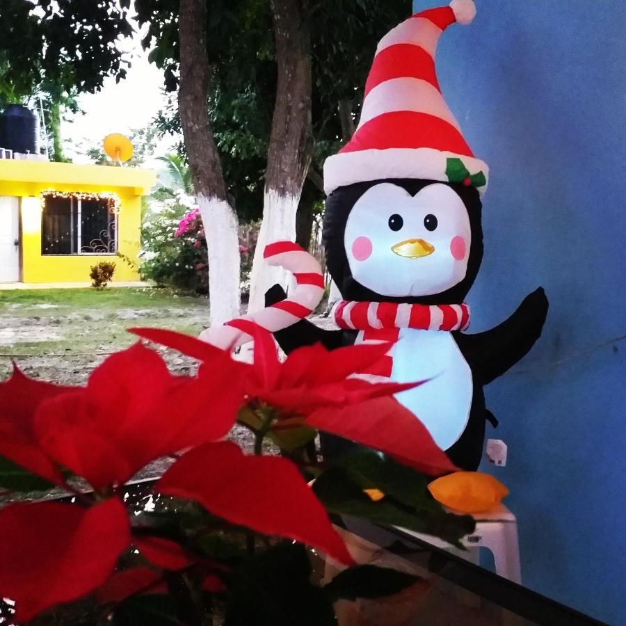 Otoch Beek Calakmul Bed & Breakfast Chicanna Exterior photo